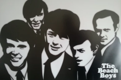 Framed Digital Drawing Of The Beach Boys