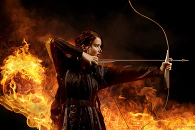 The Hunger Games Wallpapers High Quality