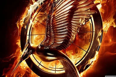 The Hunger Games Catching Fire 2013 HD Desktop Wallpapers ...