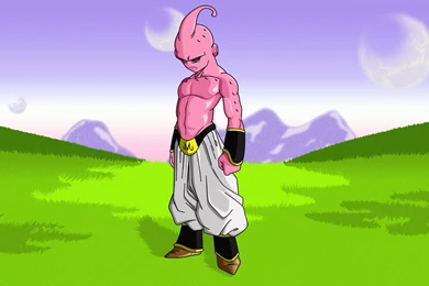 Kid Buu Wallpapers   Wallpapers Cave