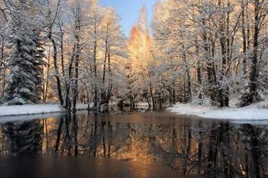 Beautiful Desktop Backgrounds   Wallpapers Cave