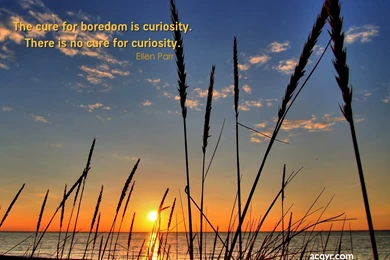 Desktop Wallpapers Nature Wallpapers   39037