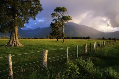 New Zealand