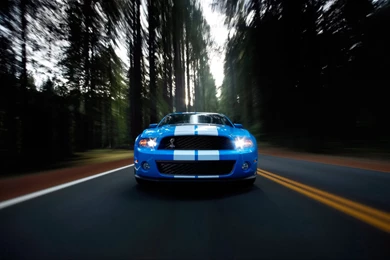 Ford Shelby GT500 Speed 5 Wallpapers
