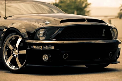 Download 1366x768 Ford Shelby Sepia Wallpapers