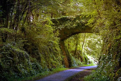 Christmas Lights HD Wallpapers Free Download