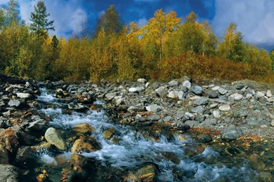 DataLife Engine > Версия для печати > Autumn In Siberia   Desktop ...