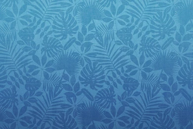 Apple Inc. Macintosh Print Mountain Lion Wallpapers