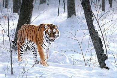Charles Frace Wallpapers Emperor Of Siberia Painting Forest
