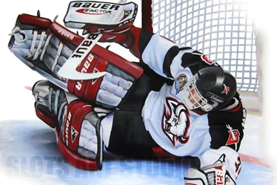 Quotes By Dominik Hasek @ Like Success