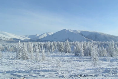 High Quality Siberia Wallpapers