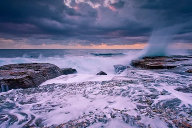 Full HD Wallpapers Grass Forest Moss Morning Siberia Russia ...