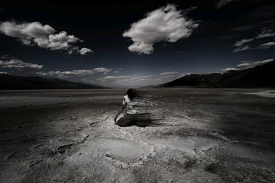 Photo Manipulation Wallpapers 1440x900   (