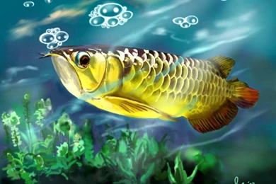 Professional Wallpapers Tools