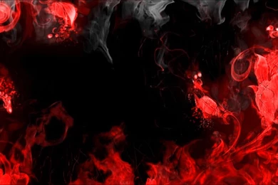 Dreamscene.org   Gallery/Download   Free Dreamscenes, Video Loops ...