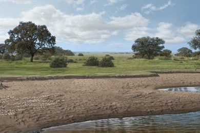 Dissecting Another Prehistoric Mural: La Roma 2 Fossil Site ...