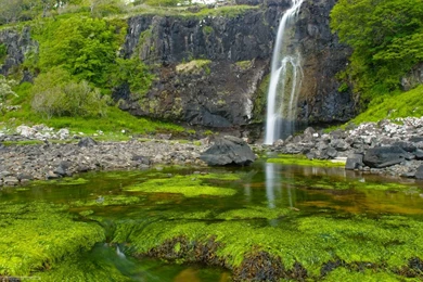 Prehistoric Backgrounds   Wallpapers Cave