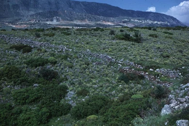 Prehistoric Backgrounds   Wallpapers Cave