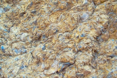 Backgrounds Of Limestone With The Prehistoric Fossil Shells