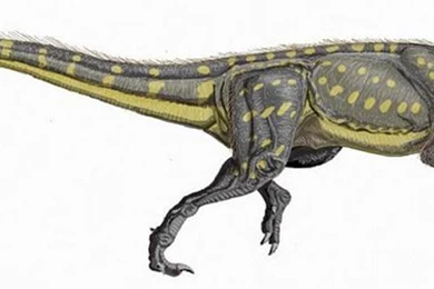 Prehistoric Backgrounds   Wallpapers Cave