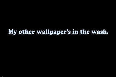 World's Funniest Wallpapers