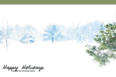 Free Holiday Twitter Backgrounds