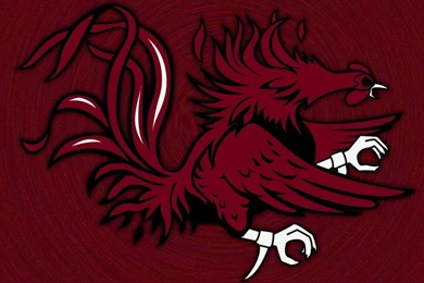 USC Wallpapers   Page 19   CockyTalk