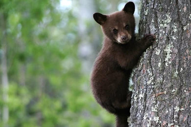 2015 09 22   Page 203