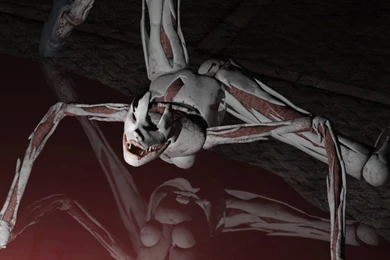 Silent Hill Homecoming: Scarlet Wallpapers   Silent Hill Saga Wallpapers