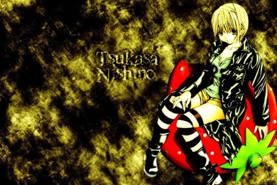 Tsukasa Nishino Ichigo 100% Wallpapers