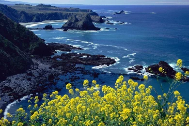 Free Wallpapers: Windows Hd Wallpapers Free Download