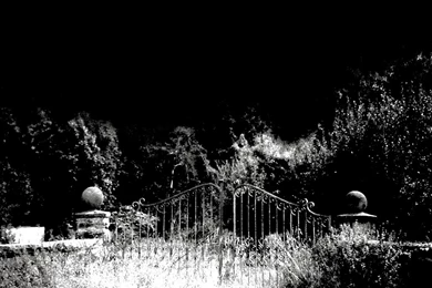 Voices From The Grave