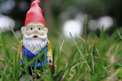 Garden Gnome Wallpapers   Wallpapers Cave