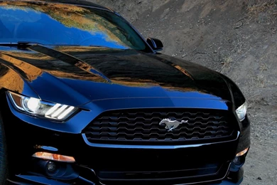 Pictures Of The New Mustang Wallpapers Free HD Pictures Wallpapers ...