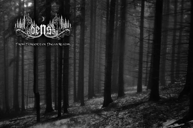 Wallpapers » Eldensky