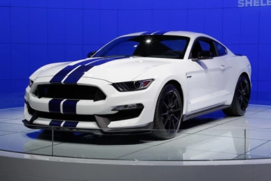 2016 Ford Mustang Shelby Free Download Wallpapers