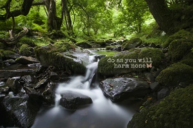 Runes, Alphabet, & Make Your Own Set Of Runes ♥ – Secret Order Of ...