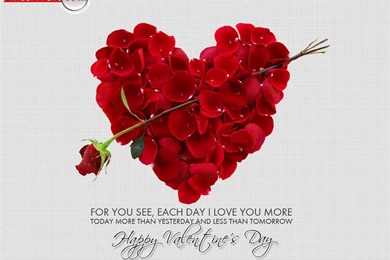 Download Best Valentine Day Wallpapers For Wife   The Quotes Land