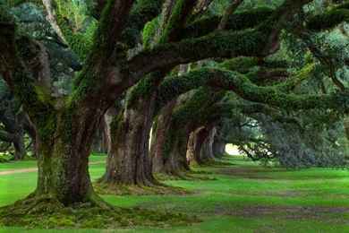 Unbelievable Pictures Of Nature   Wallpapers HD Wide