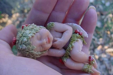 Download So Sweet......... Wallpapers HD FREE Uploaded By   Anamika ...