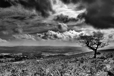 40+ Black And White Wallpapers   Technosamrat