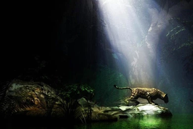 Best Desktop Wallpapers Sites   HD Wallpapers Pretty