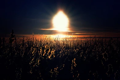 Theme Bin» Blog Archive » Just Another Sunset HD Wallpapers