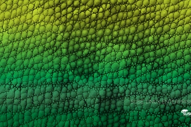 SUSE Museum: Wallpapers Products
