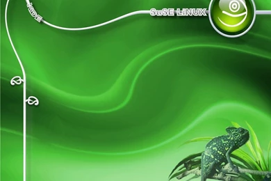 Wallpapers Linux(Ubuntu, Debian, Opensuse, Redhat, Mint,etc ...