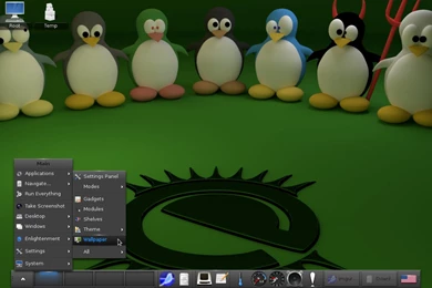 Ultra Random Thoughts: Change Backgrounds And Themes In E17 ...