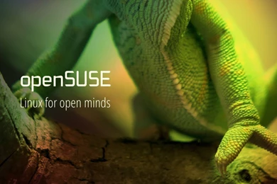OpenSUSE Chameleon : Desktop And Mobile Wallpapers : Wallippo
