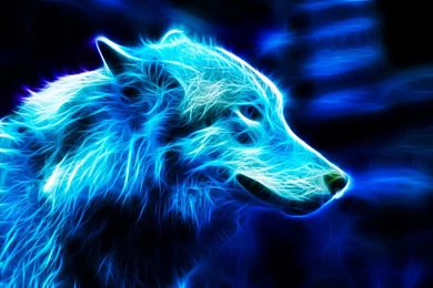 Jestingstock.com Neon Blue Wolf Wallpapers