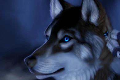 Jestingstock.com Wolves Wallpapers 3d