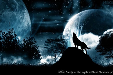 Howling Wolf Wallpapers   Wallpapers Cave